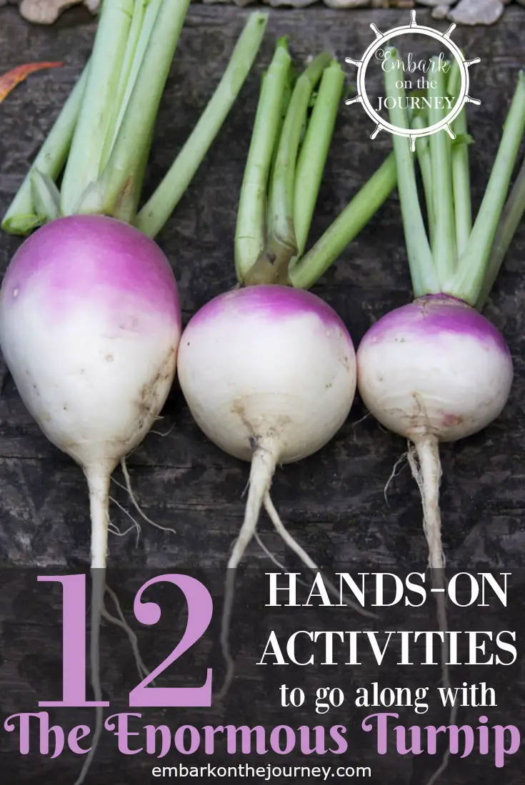 12-the-enormous-turnip-activities-for-early-years