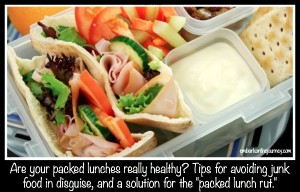 Are you stuck in a lunch rut? Are you out of ideas? Are you resorting to throwing in whatever's convenient? Avoid these "junk food in disguise" traps, and find a way to add variety to your child's lunchbox. | embarkonthejourney.com