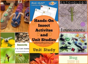 Fun hands-on activities and unit study resources for learning about insects. | embarkonthejourney.com