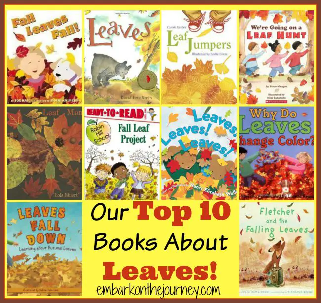 Our Top 10 Favorite Fall Picture Books About Leaves