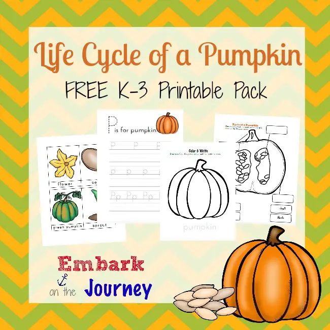 Life Cycle of a Pumpkin Printable