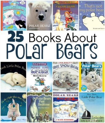 25 books about polar bears: board books, picture books, chapter books, and activity books! | embarkonthejourney.com