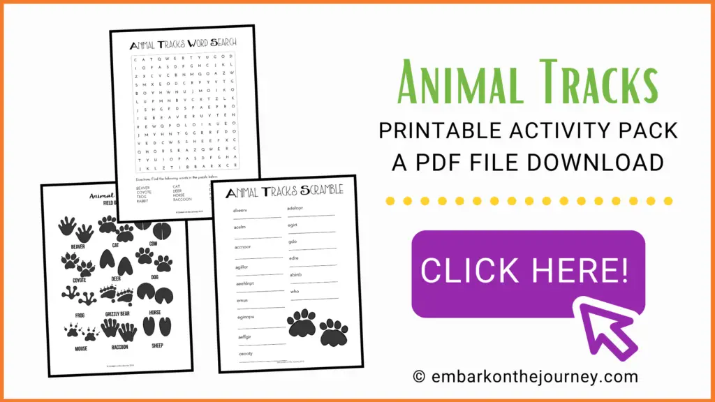 Animal Tracks Unit Study