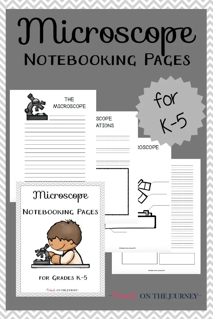 Microscope Notebooking Pages for K-5 text with image examples of pages over a gray colored background