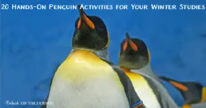 We love studying penguins in the winter! If you do, too, you HAVE to check out this great list of hands-on penguin activities for kids! | embarkonthejourney.com