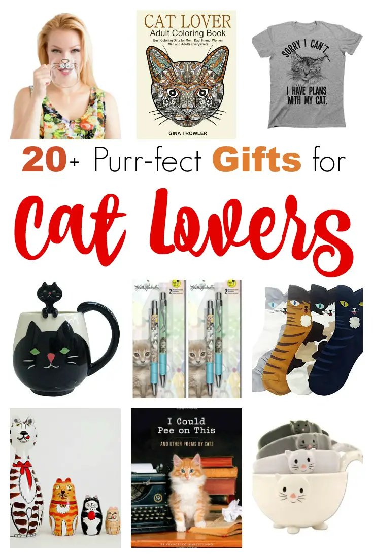 Oh my goodness! Check out more than 20 gifts that are purr-fect for cat lovers! These ideas will make holiday shopping so easy! | embarkonthejourney.com