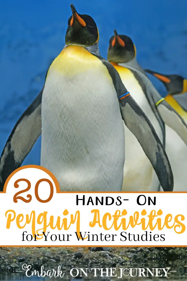 We love studying penguins in the winter! If you do, too, you HAVE to check out this great list of hands-on penguin activities for kids! | embarkonthejourney.com