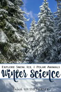 I love that wintertime brings new opportunities for unique homeschool lessons. Explore snow, ice, and polar animals with these winter science activities. | embarkonthejourney.com