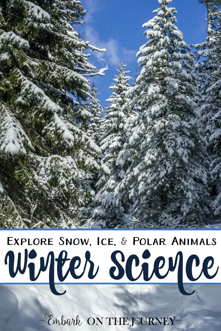 I love that wintertime brings new opportunities for unique homeschool lessons. Explore snow, ice, and polar animals with these winter science activities. | embarkonthejourney.com