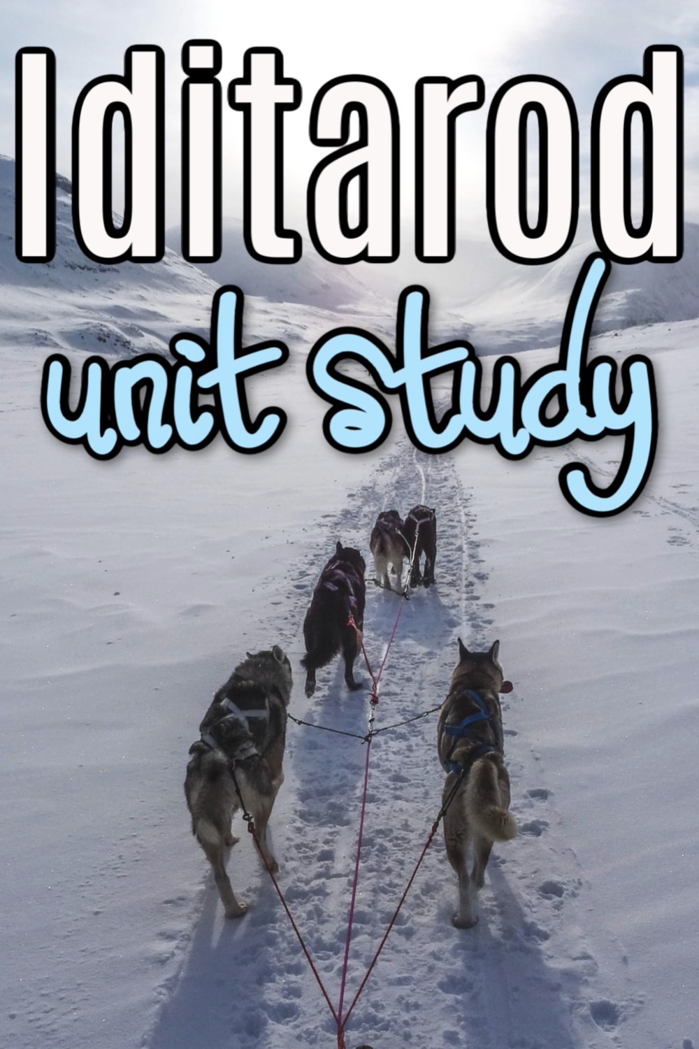 Here is the ultimate list of Iditarod unit study resources! It covers Alaska, the Great Serum Race, the Iditarod, sled dogs, mushers, and more!