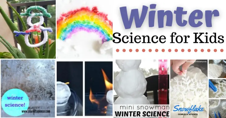 Winter Science Activities