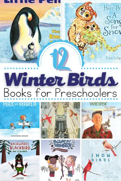 Winter Bird Books For Preschoolers