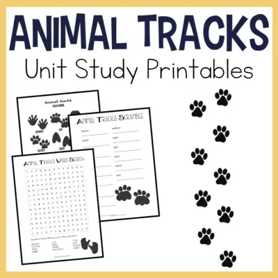 Animal Tracks Unit Study