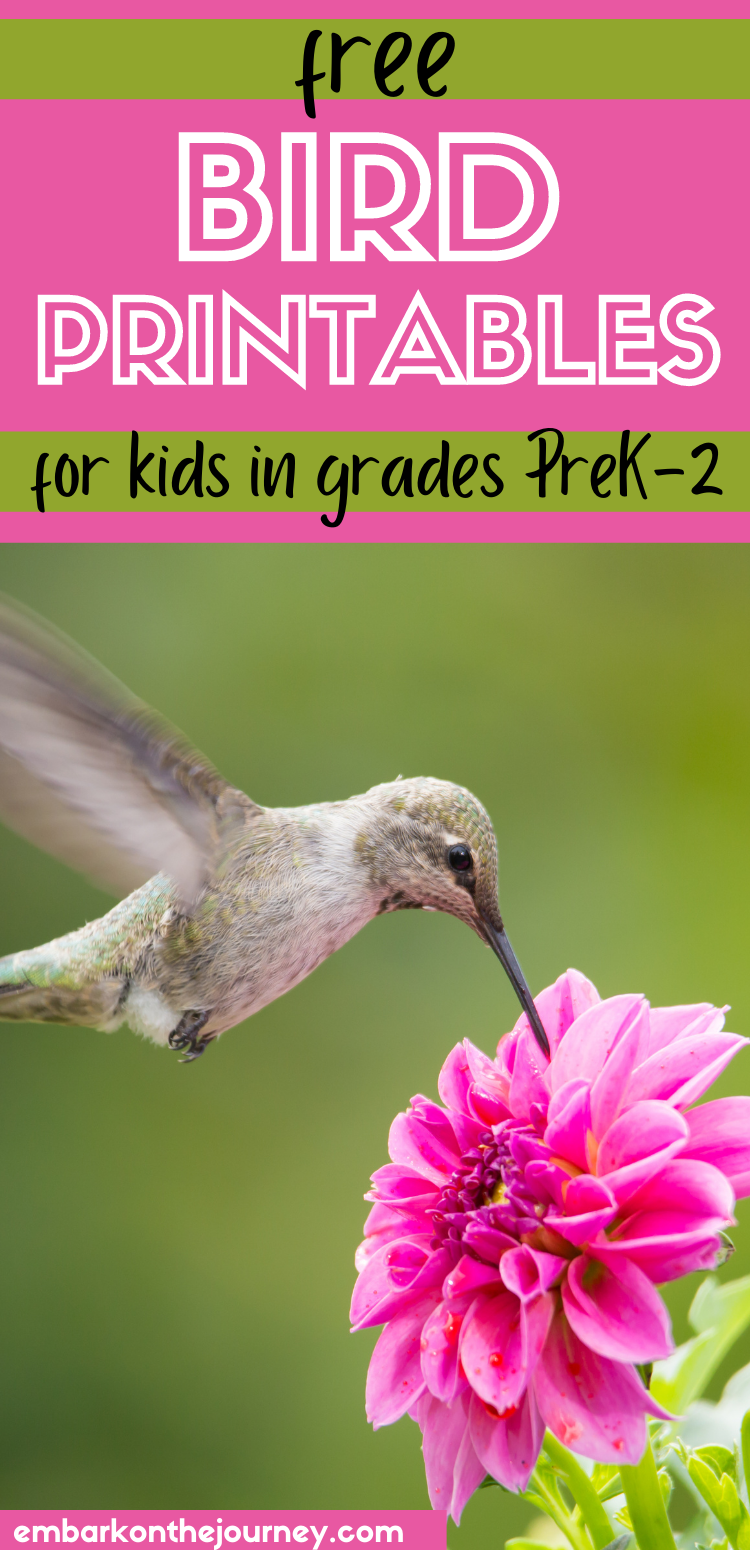 Free Bird Printables