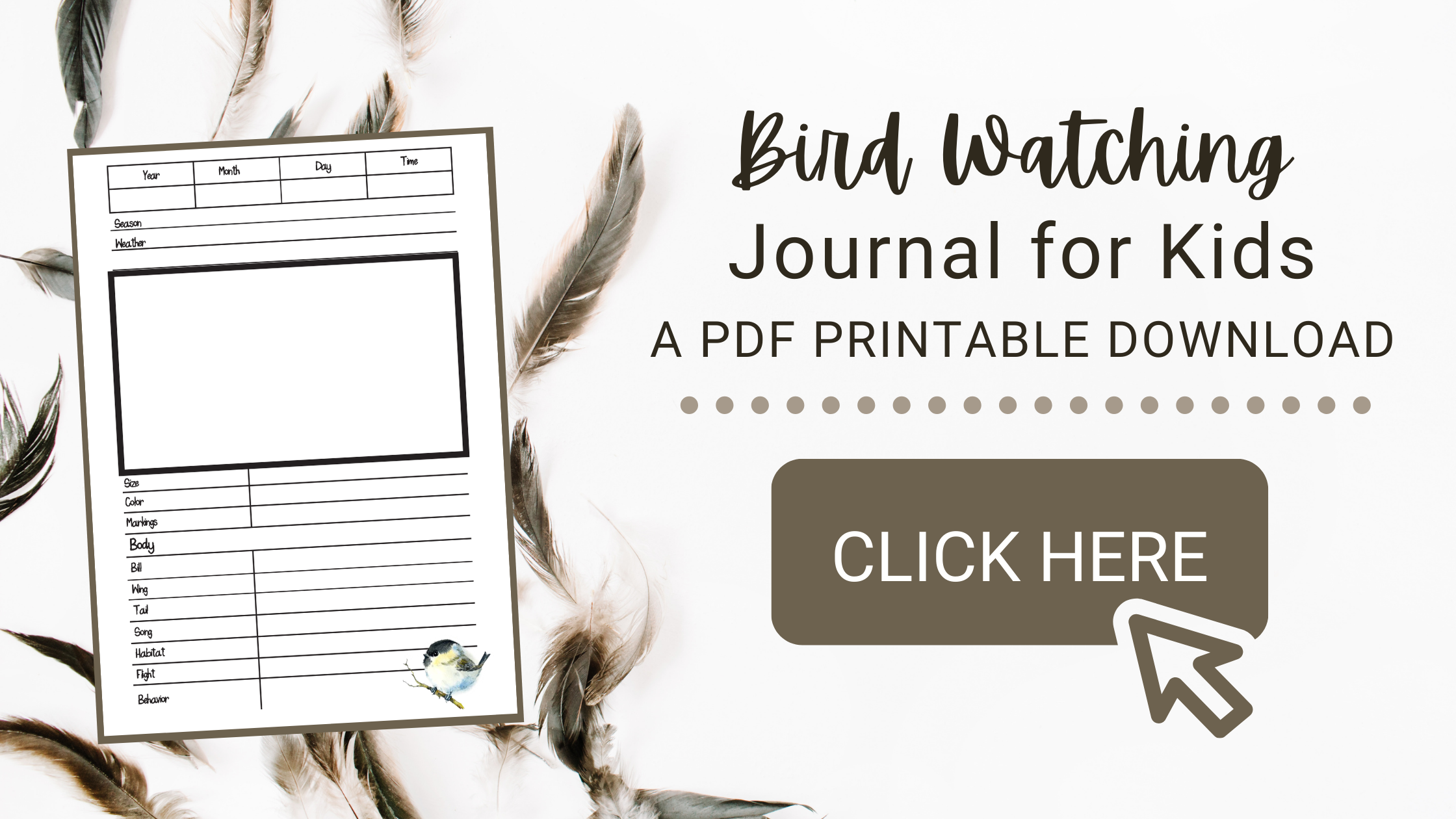 FREE PDF Download Birdwatching Notebook  Birding journal, Bird watching,  Bird unit study